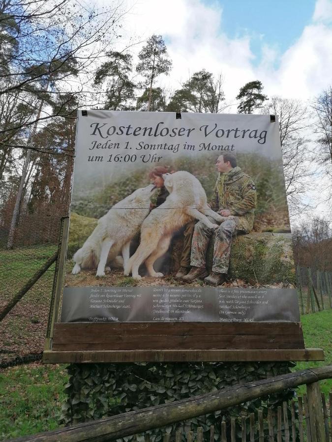 Ferienwohnung Am Wolfsweg Merzig Kültér fotó