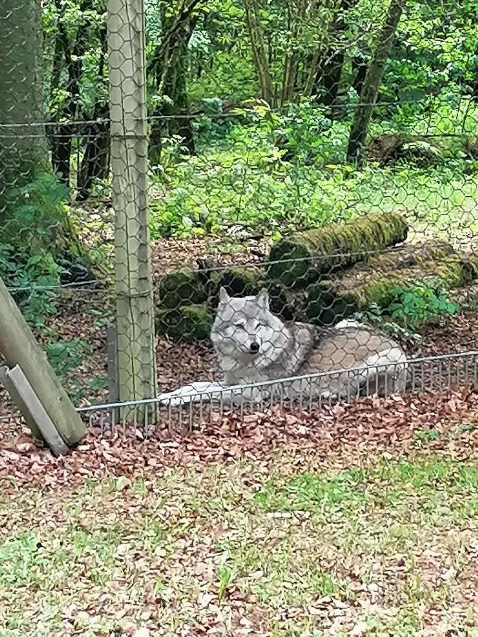Ferienwohnung Am Wolfsweg Merzig Kültér fotó