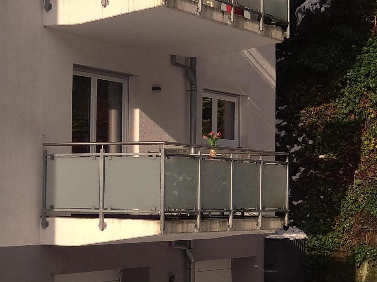 Ferienwohnung Am Wolfsweg Merzig Kültér fotó